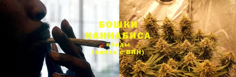 Каннабис Bruce Banner  Кудрово 